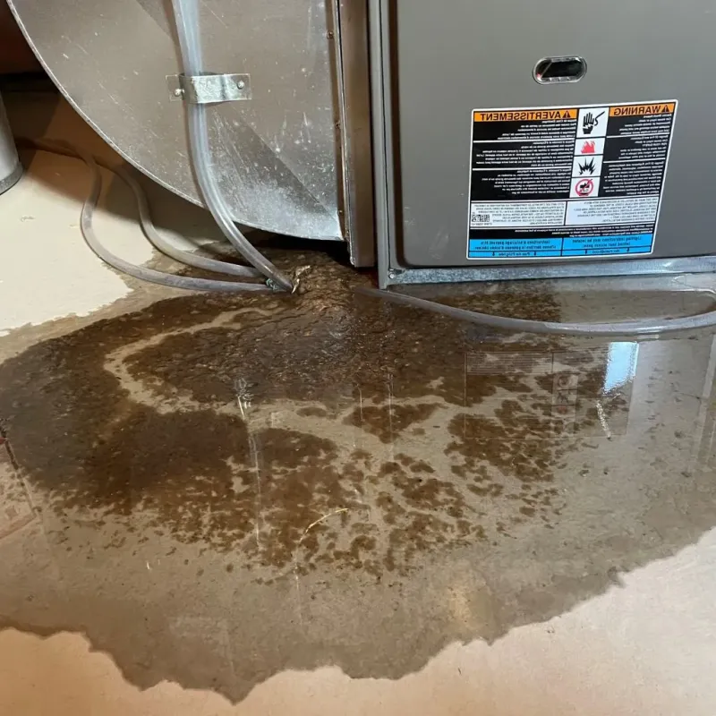 Pipe Burst and Leak Restoration in Lexington County, SC