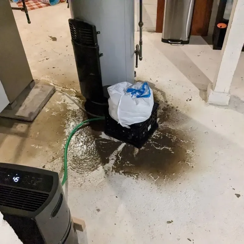Sewage Backup Cleanup Service in Lexington County, SC